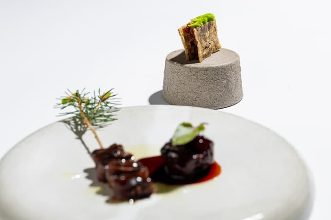 Divjačina drugače, Bine Volčič