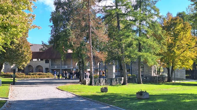 Grad Ribnica je danes namenjen Muzeju Ribnica, etnološki zbirki in kavarni.