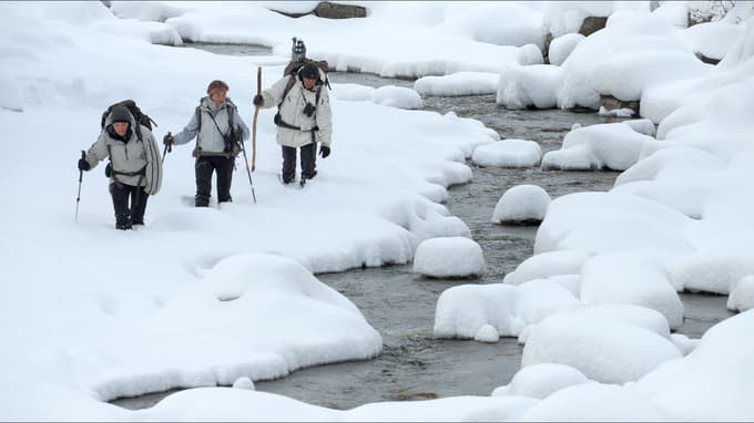 Izjemen živalski svet skozi štiri ledne čase prikaže film 2000 dni v raju na slovenskem festivalu že večkrat nagrajenih francoskih ustvarjalcev Véronique, Anne in Erika Lapieda.