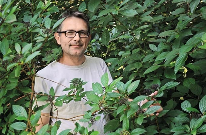 Katere rastline skriva eden najstarejših slovenskih hribov?