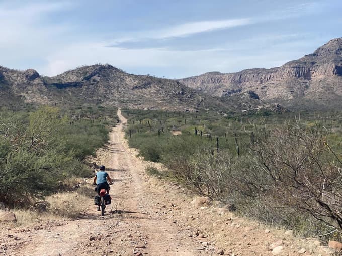 Neskončne puščavske ceste