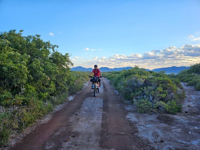 Kolesarjenje med obalnim zelenjem