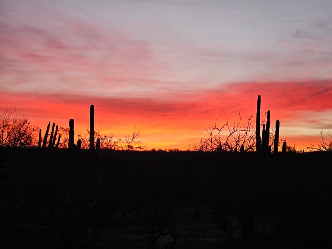 Sončni zahod v puščavi