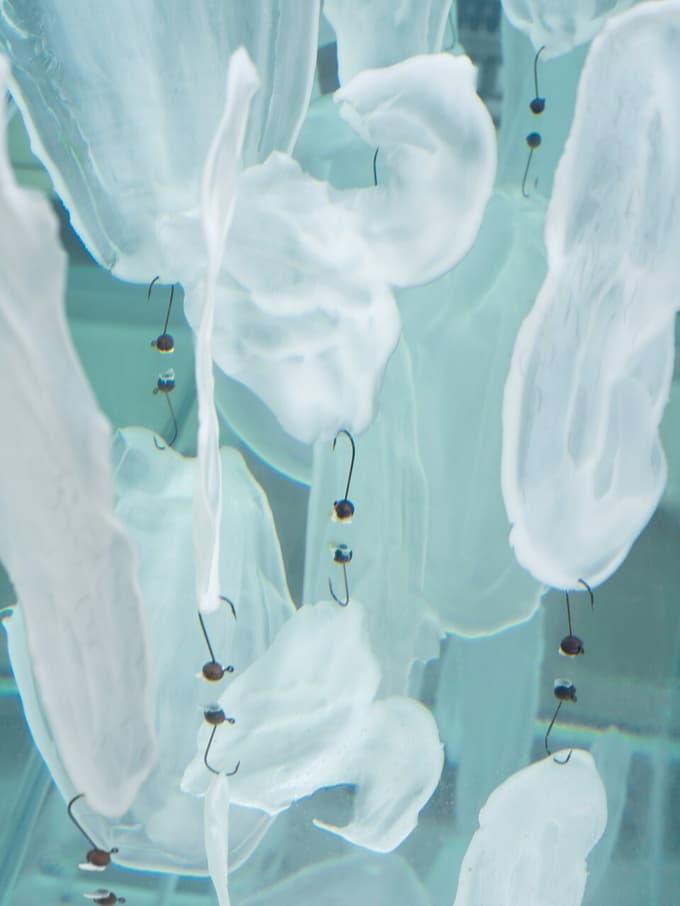 (MLADI KRITIK) Iz take smo snovi kot bolečina