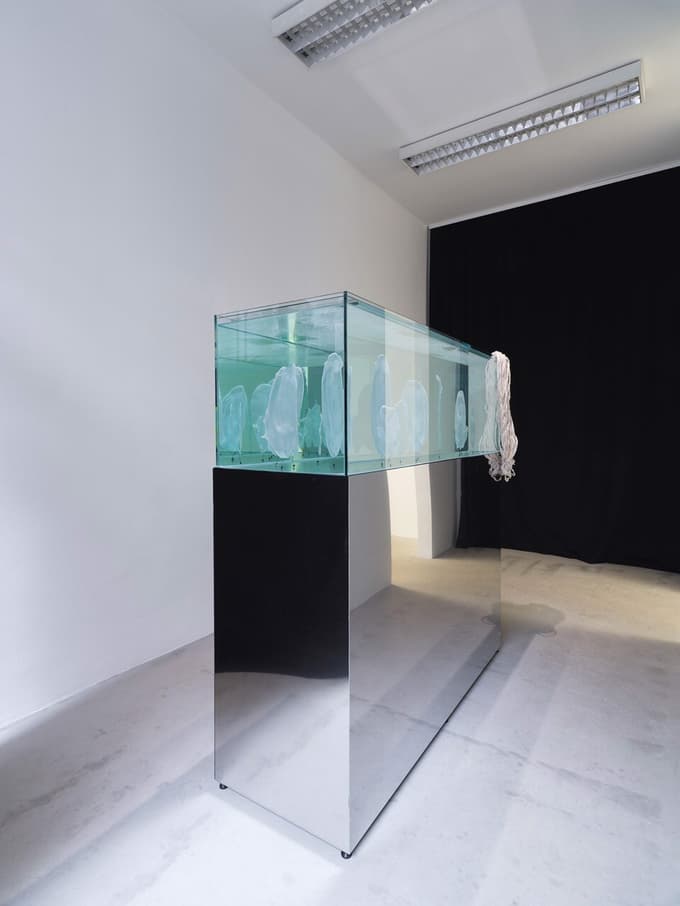 (MLADI KRITIK) Iz take smo snovi kot bolečina