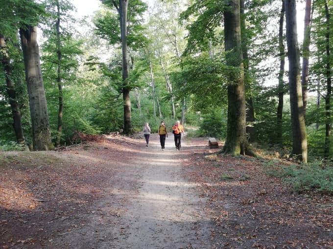 Pot Piramida - Kalvarija