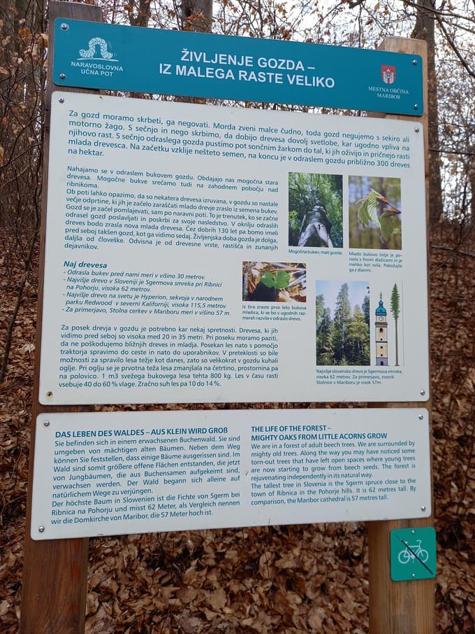 (FOTO) Pot Piramida - Kalvarija nagrajena z nazivom Naj pot 2026