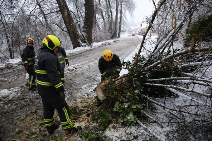 Odstranjevanje padlega drevesa pri Malečniku