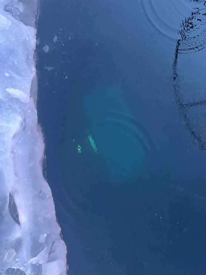 (FOTO in VIDEO) Turistični avtobus zapeljal v razpoko na jezeru in potonil, umrlo osem ljudi, tudi otrok