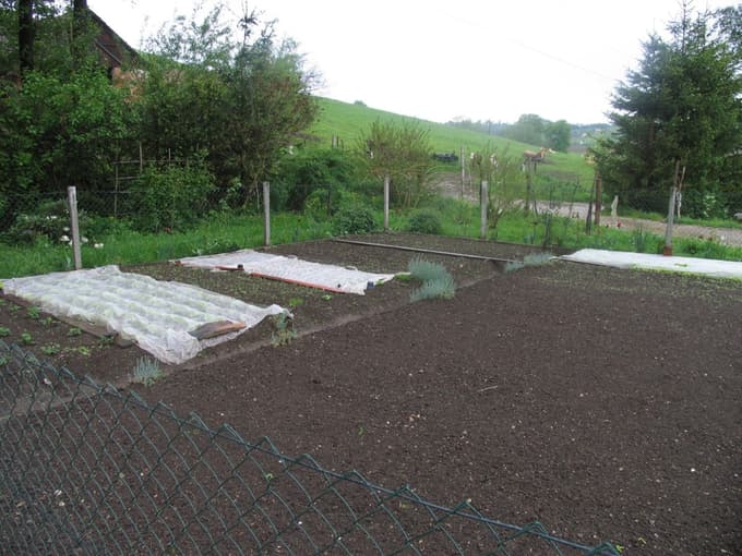 Pred setvijo zemljo ustrezno pripravimo.