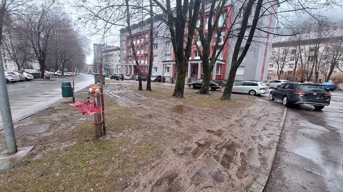(FOTO) Kakšna svinjarija! Občina opozarja: Zelenice niso parkirišča! Bodo potrebni stebrički?