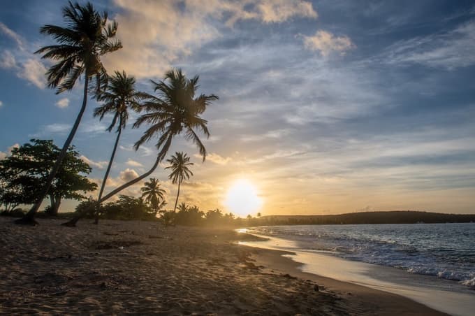 (POGLED) Kolumna Dejana Verčiča: Kaj bomo delali, ko ne bomo imeli več kaj delati?