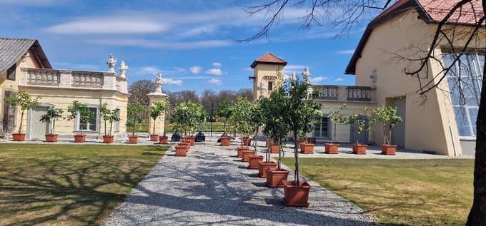 Oranžerija Dornava za en dan odpira svoja vrata