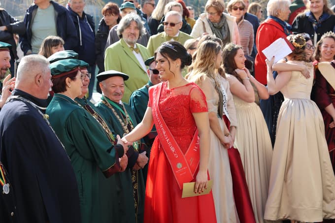 (FOTO) Ko škarje zarežejo v Najstarejšo trto: Cepič bo rasel tudi na Madagaskarju