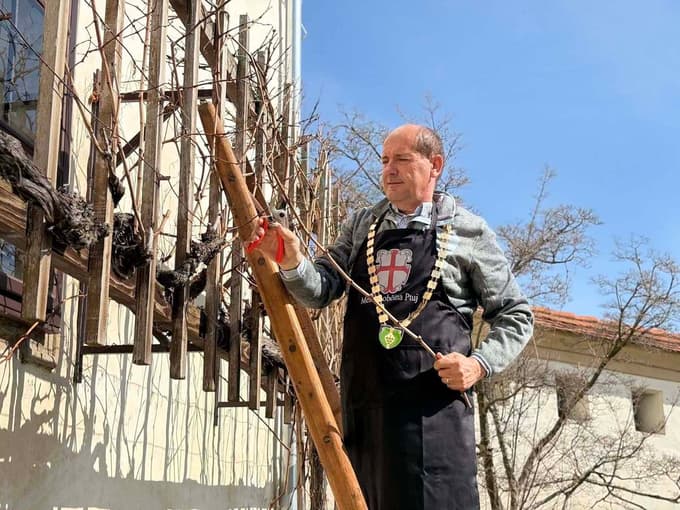 Mestni viničar Andrej Rebernišek.