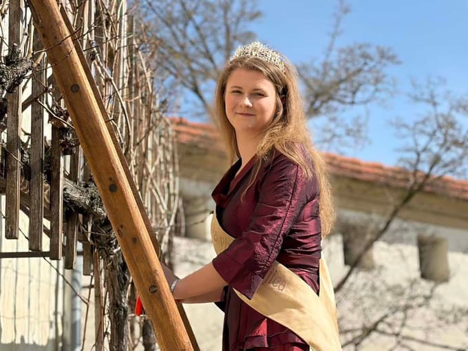 Vinska kraljica Klara Sužnik.