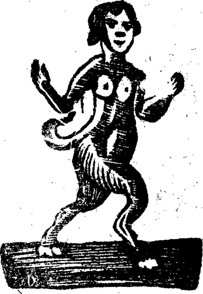 Glavni razlog za prepoved predstavljajo eksplicitne ilustracije. 