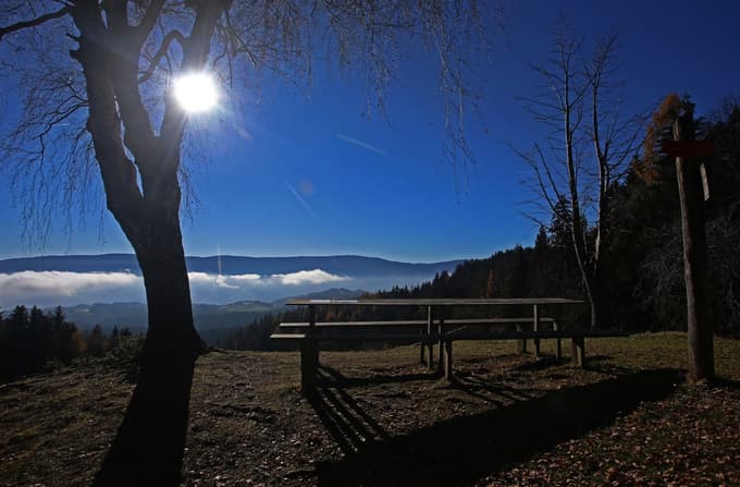 Žavcarjev vrh na Kozjaku