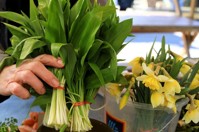 Cene na mariborski tržnici: Koliko stane čemaž?