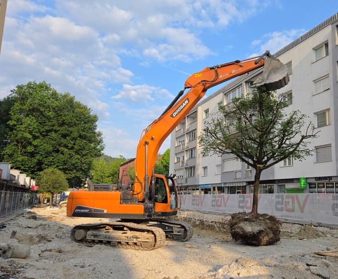 Selitev maklenov iz Cankarjeve ulice v Velenju na nadomestno lokacijo. Po končani obnovi so drevesa posadili nazaj.