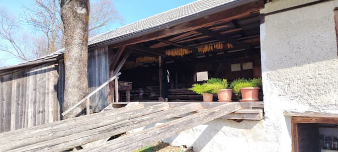 Obnovili so tudi tako imenovane trete za spravilo hlodov v žago.