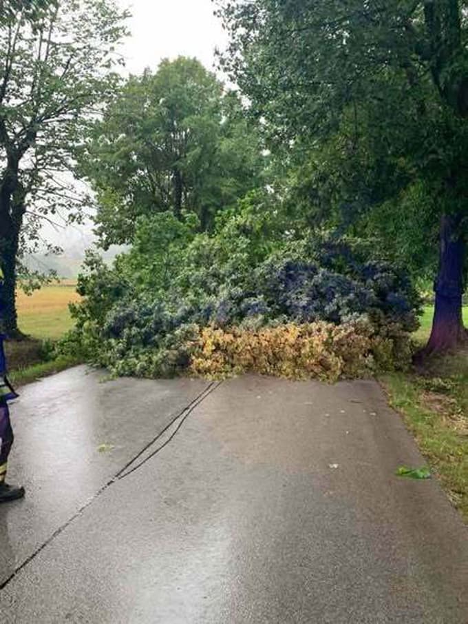 (FOTO) Zakaj občina Hoče-Slivnica zaradi izgubljenih 350 tisoč evrov toži državo