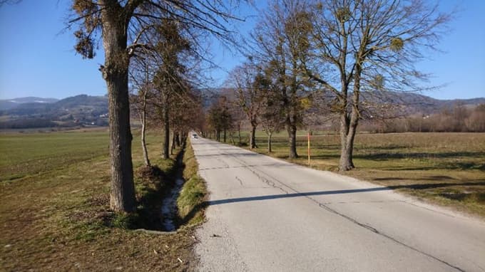 (FOTO) Zakaj občina Hoče-Slivnica zaradi izgubljenih 350 tisoč evrov toži državo