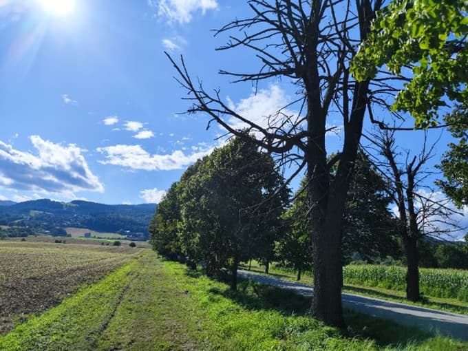 (FOTO) Zakaj občina Hoče-Slivnica zaradi izgubljenih 350 tisoč evrov toži državo