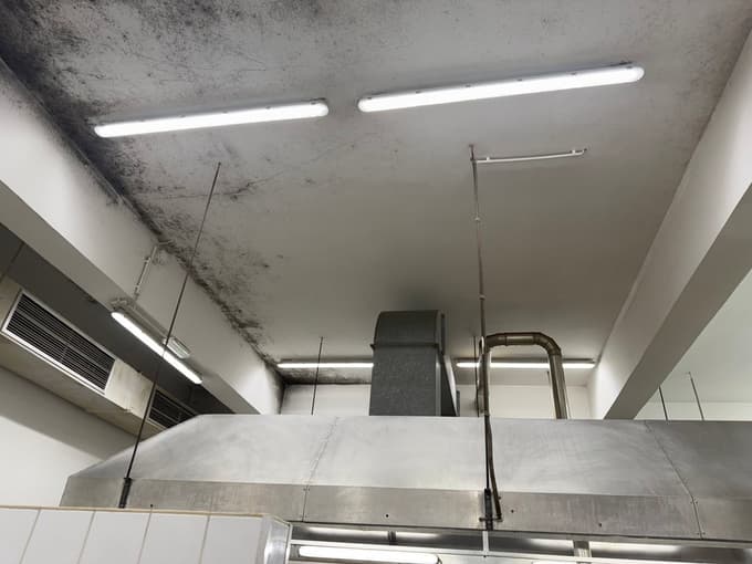 Obrabljeni prostori, vlaga in sledovi plesni so bili eden glavnih razlogov za celovito prenovo.