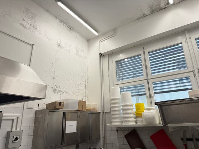 Plesen nad šolskimi kosili. Mariborska šola na novo kuhinjo čakala več kot 40 let