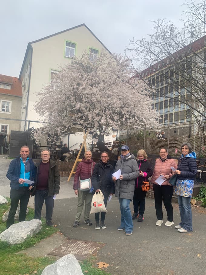 Skupina udeležencev letošnjega vodenja Po poteh medovitih dreves pred mariborskim mandljevcem