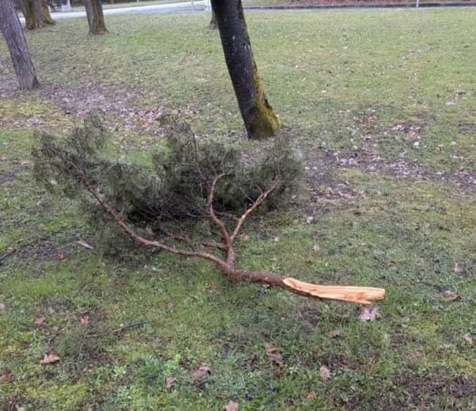 (FOTO) Veter ni prizanesel niti mariborskim pokopališčem: Poglejte to opustošenje ...