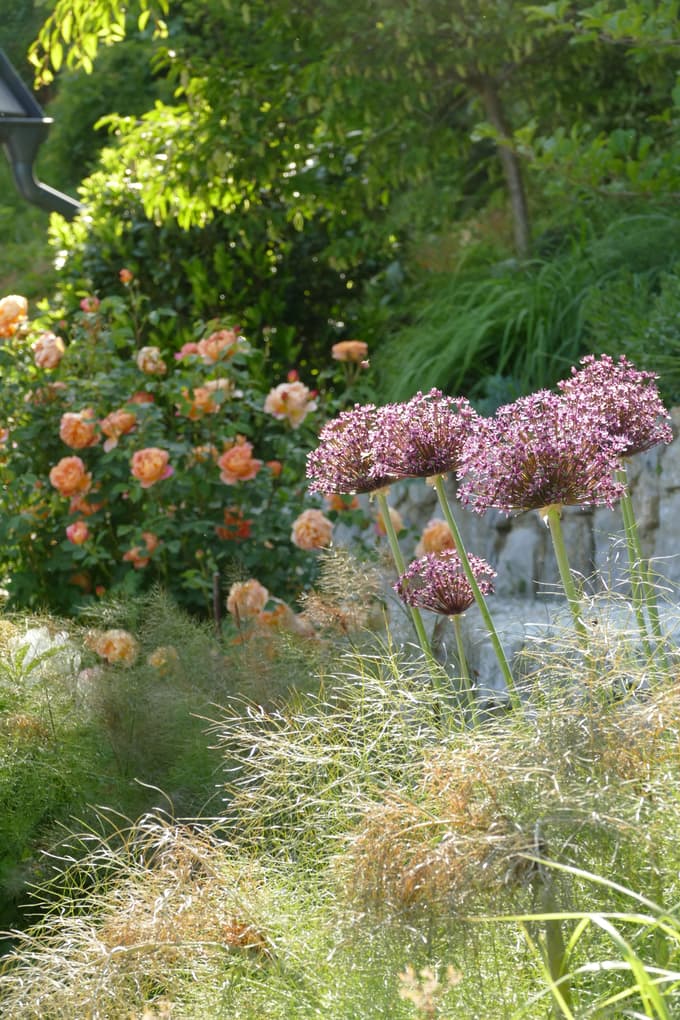 Za zračnost, višino in dinamiko skrbijo okrasni luki ter bakreni komarčki.