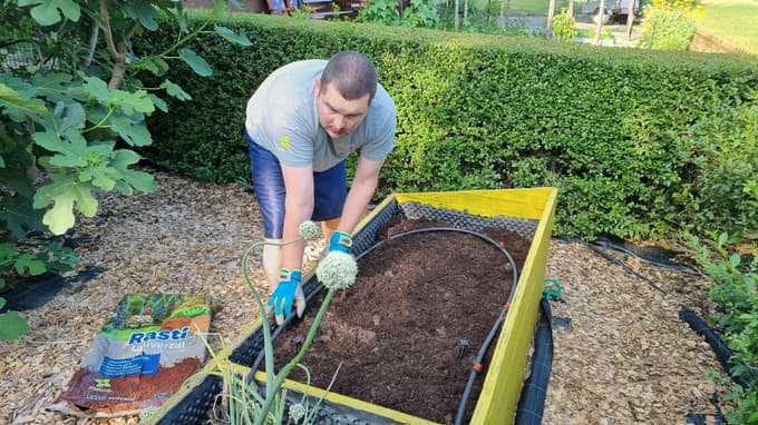 Zasadimo visoke grede