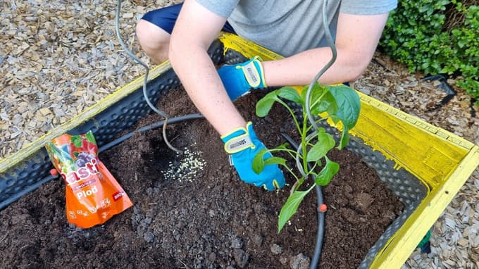 Zasadimo visoke grede