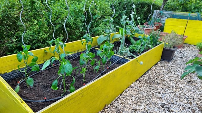 Zasadimo visoke grede