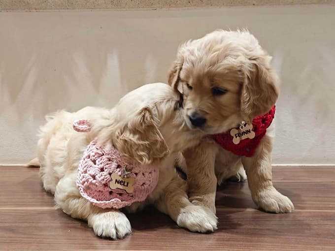 »Vsak mladiček odnese košček mojega srca«