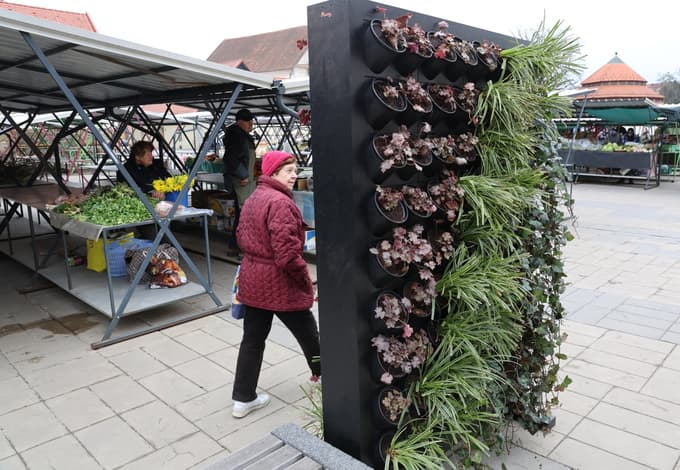 (FOTO) Nova zelena točka v Mariboru: Osrednja tržnica dobila vertikalni vrt