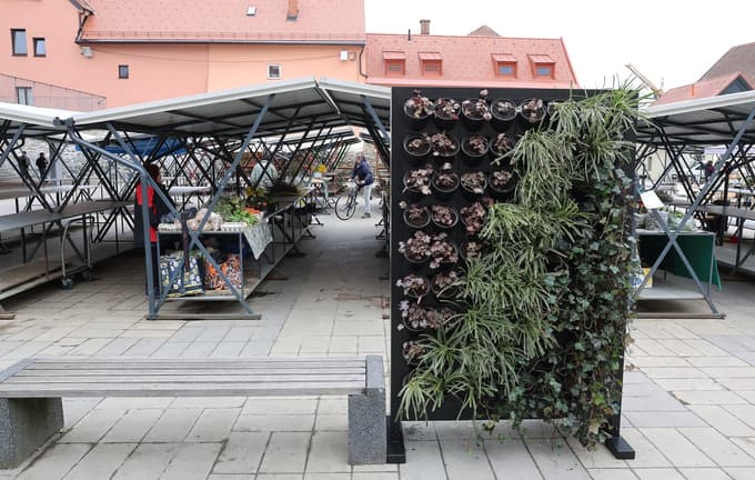 (FOTO) Nova zelena točka v Mariboru: Osrednja tržnica dobila vertikalni vrt