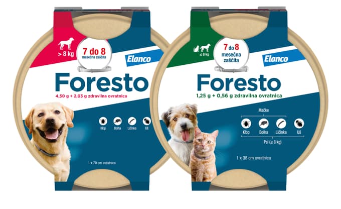 Paraziti pri mačkah in psih – zakaj je preventiva ključna?