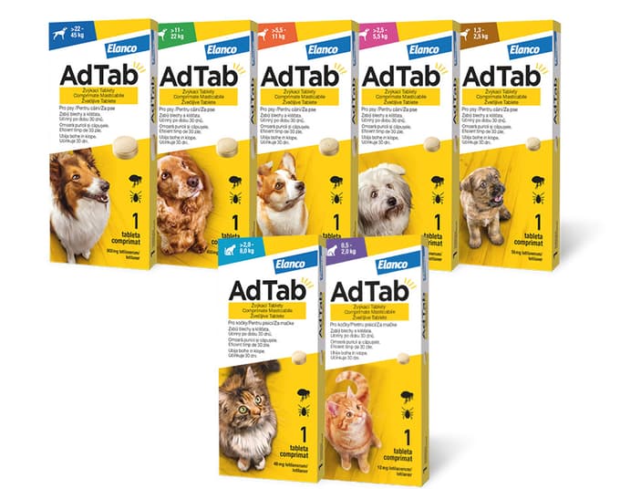 Paraziti pri mačkah in psih – zakaj je preventiva ključna?