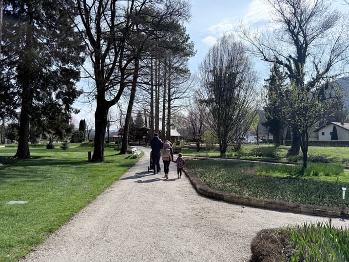 (FOTO) Pomlad znova zacvetela v Mozirskem gaju. Kaj vse je in bo na ogled?