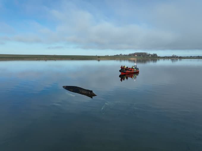 Klici na pomoč odmevajo kilometre daleč: Bo Timmyju uspelo preživeti?