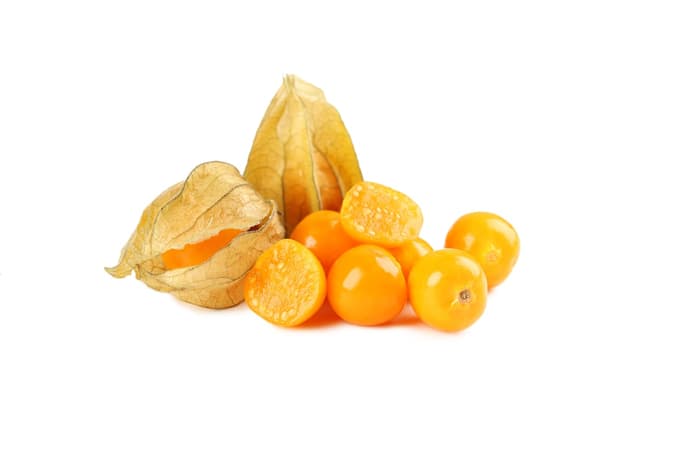 Andska jagoda (Physalis peruviana) ima zelo okusne jagode, bogate z vitaminom C.