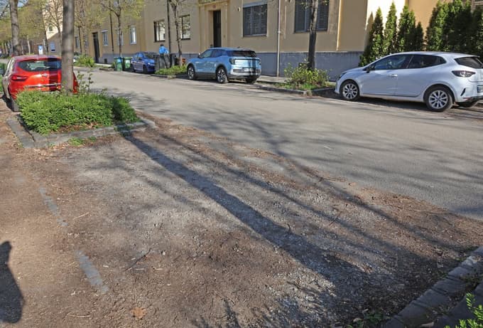 (MESTNI INŠPEKTOR) Plačujete parkirnino, parkirate pa v blatu?