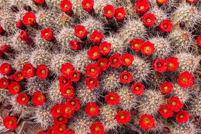 (POGLED) Kolumna Dejana Verčiča: Zakaj smo prepogosto nezadovoljni s svetom okoli nas?