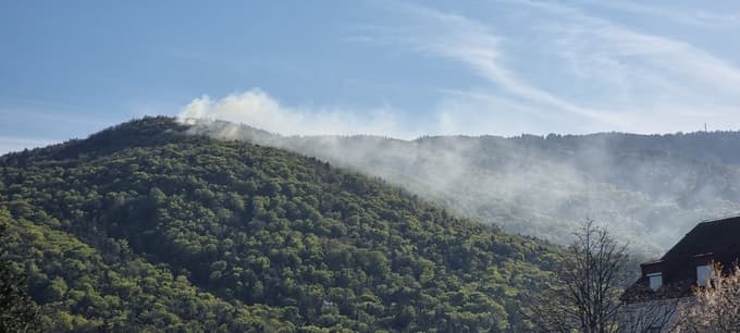 (FOTO) Gozdni požar na Hočkem Pohorju, intervencija še poteka