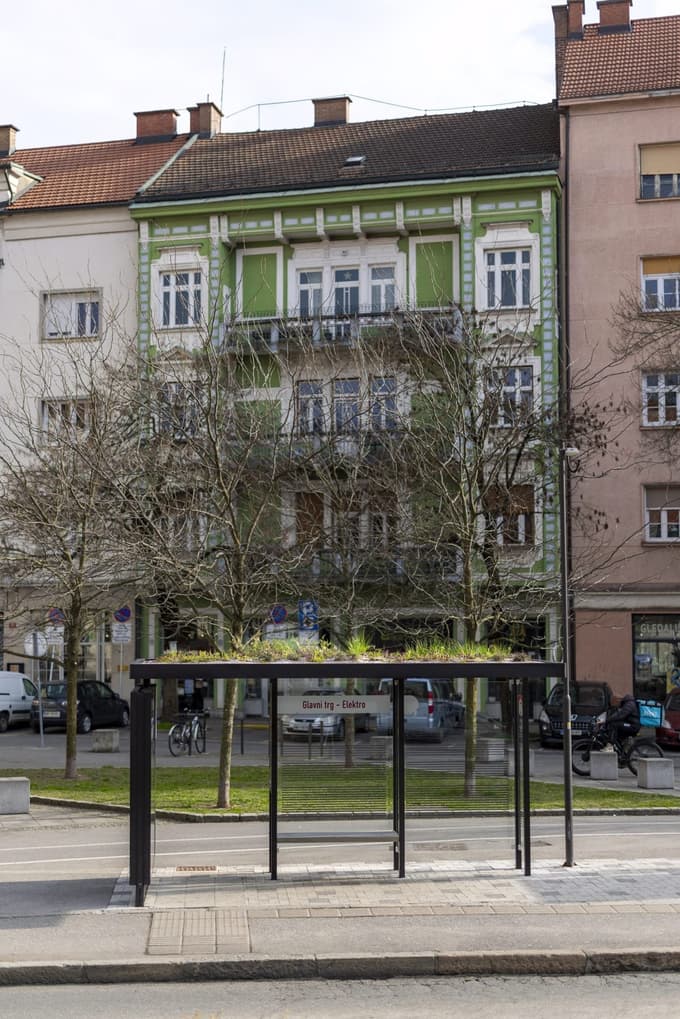 (FOTO) Zelena prenova tudi v središču Maribora