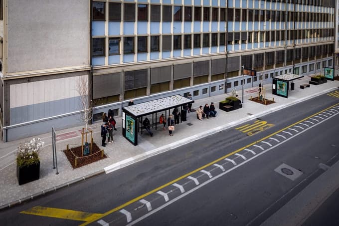 (FOTO) Zelena prenova tudi v središču Maribora