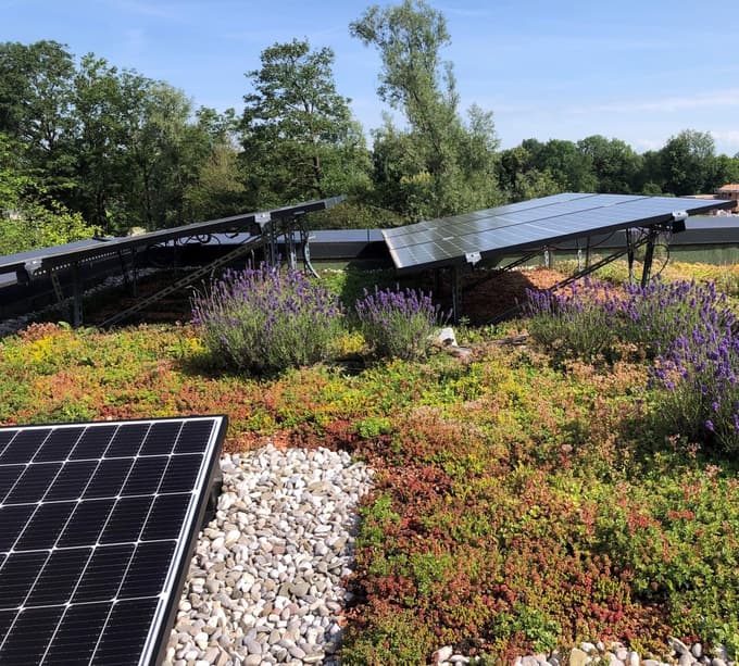 Solarni paneli na ekstenzivni ozelenitvi.